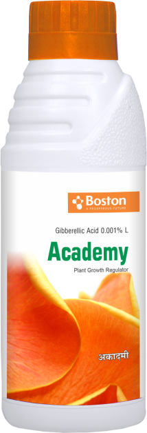 Academy