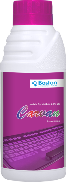 carvan