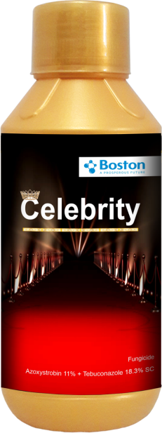 celebrety