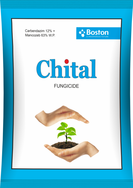 chital