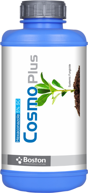 cosmo-plus