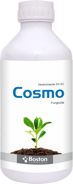 cosmo
