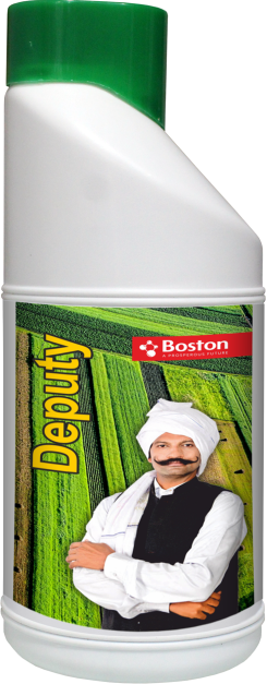 deputy