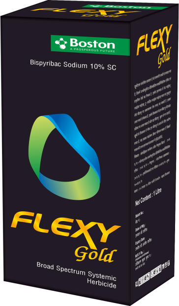 flexy-gold