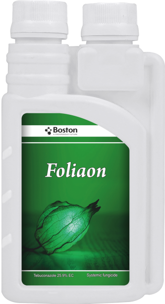 foliaon