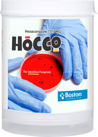 hocco
