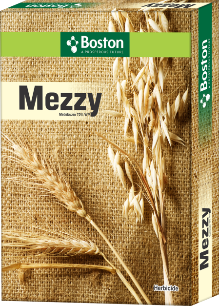 mezzy