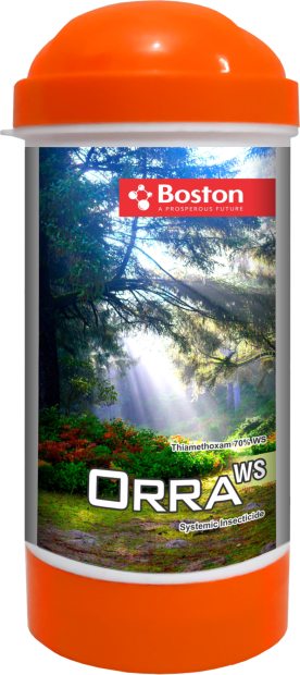 orra-ws