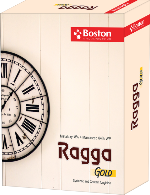 ragga-gold