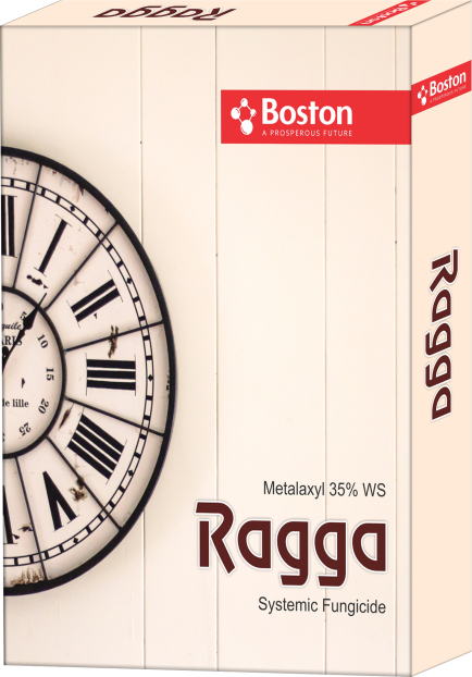ragga-ws