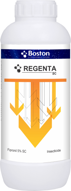 regenta-sc