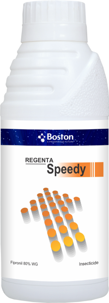 regenta-speedy