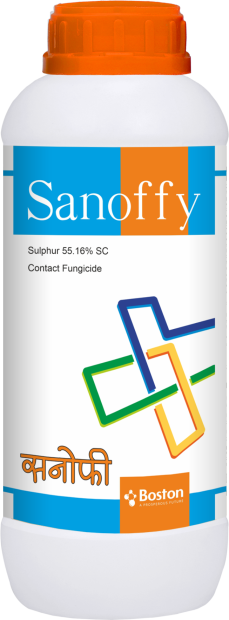 sanoffy