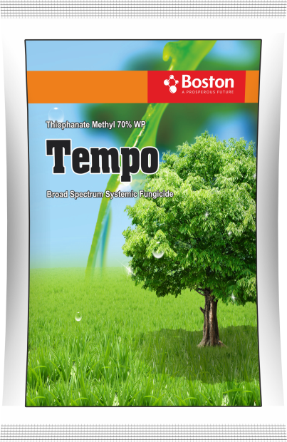 tempo