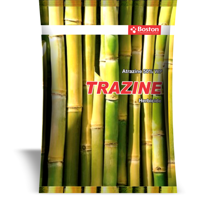 trazine
