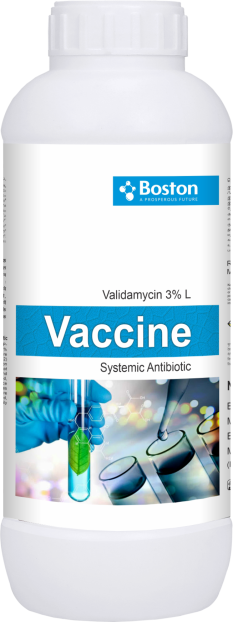 vaccine